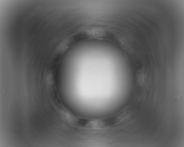 X0000062880713200601131308