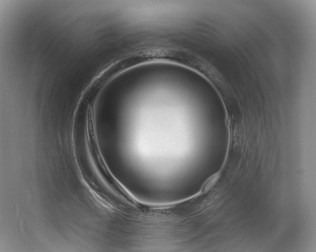 X0000062880722200601131308