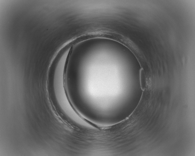 X0000062880724200601131308