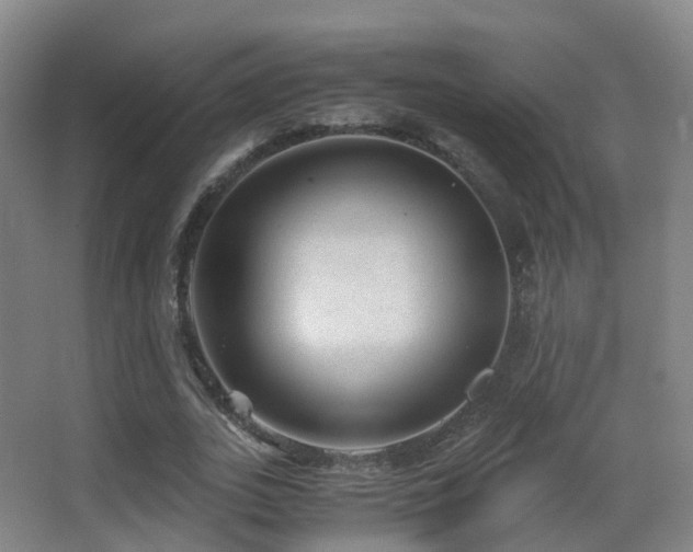 X0000062880727200601131308