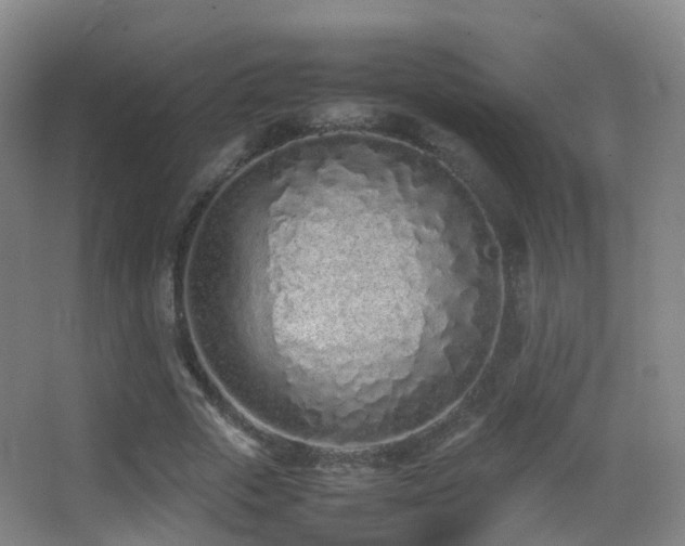 X0000062880729200601131308