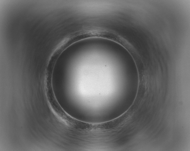 X0000062880730200601131308