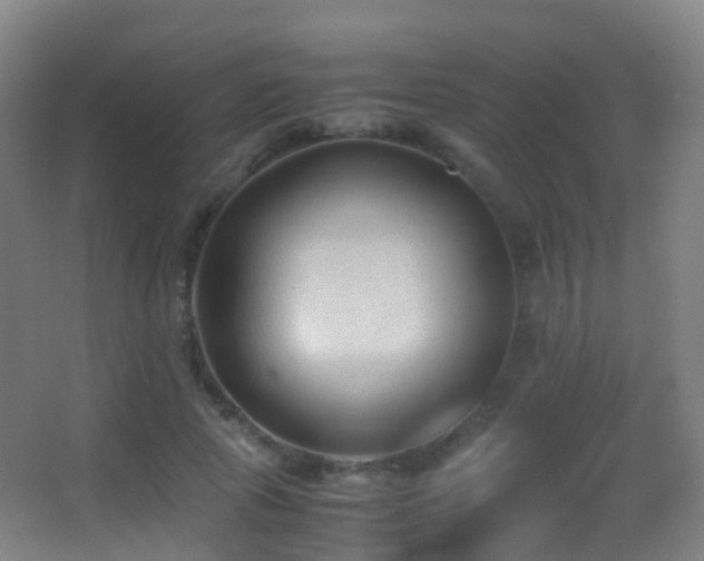 X0000062880737200601131308