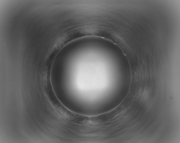 X0000062880739200601131308