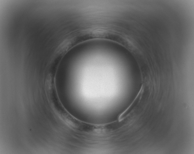 X0000062880744200601131308
