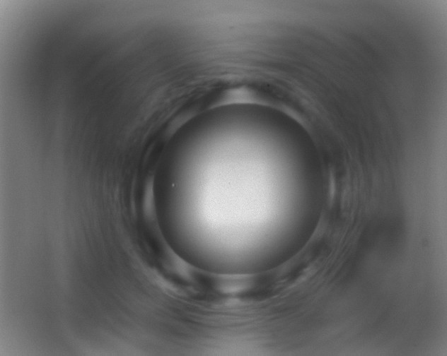 X0000062880750200601131308