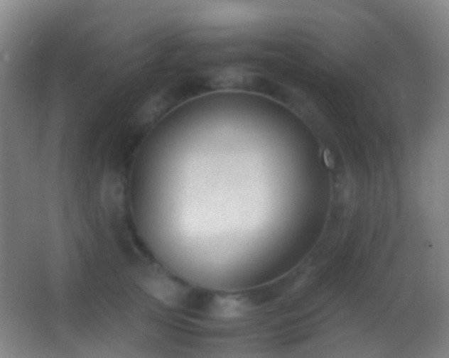 X0000062880753200601131308
