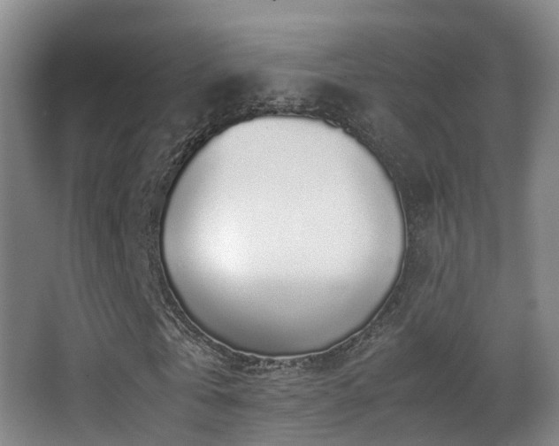 X0000062880769200601131308