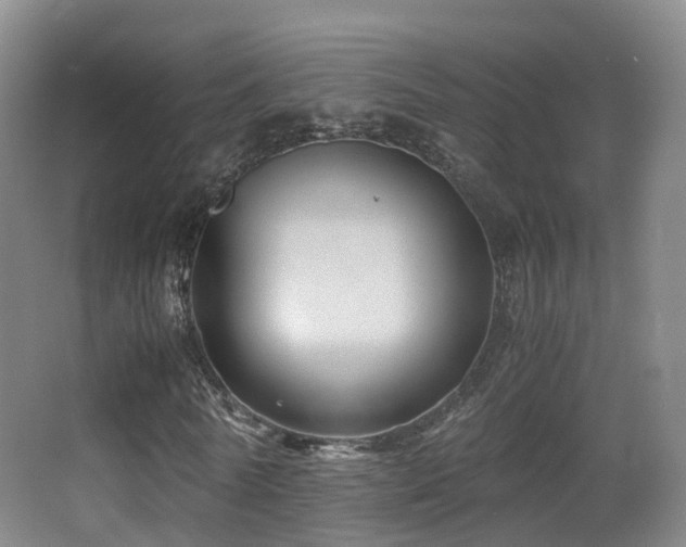 X0000062880770200601131308
