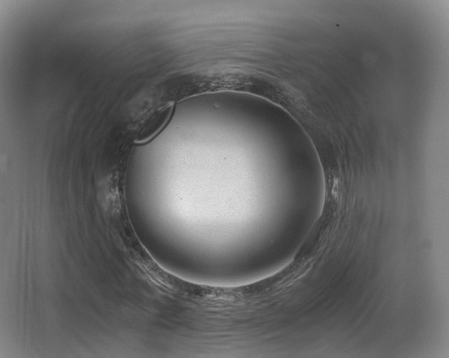 X0000062880771200601131307