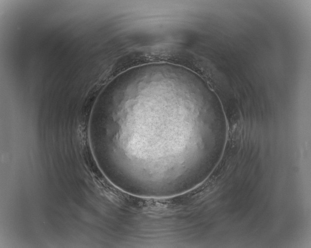 X0000062880772200601131307