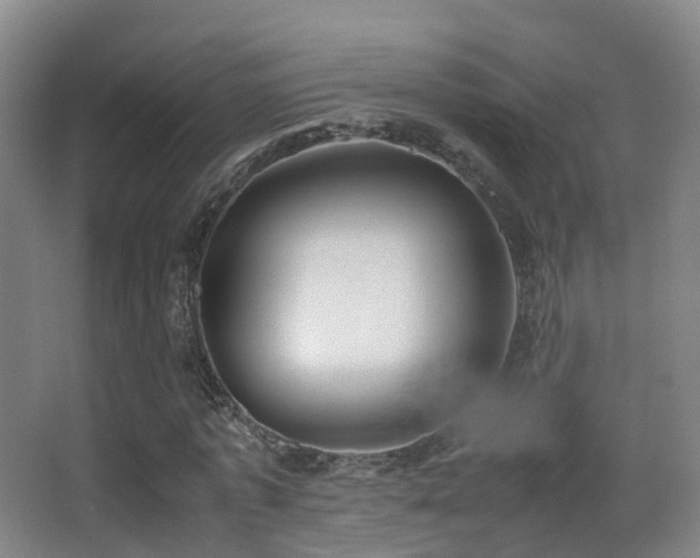 X0000062880773200601131307