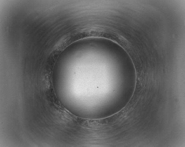 X0000062880774200601131307