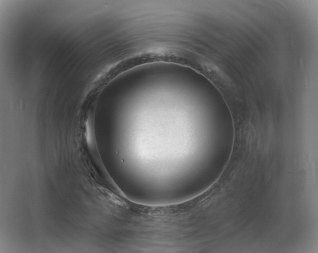 X0000062880776200601131307