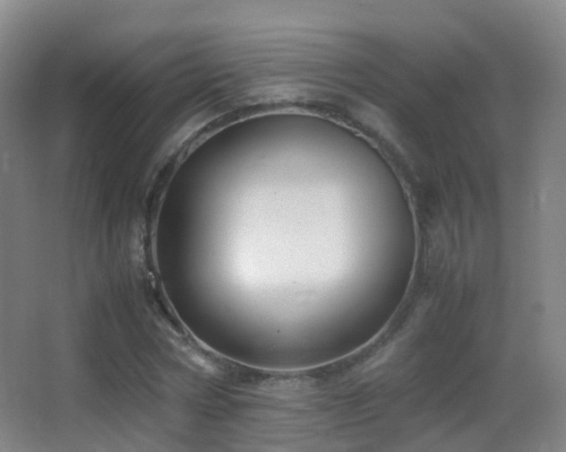 X0000062880778200601131307