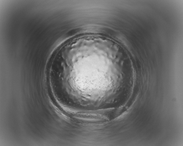 X0000062880779200601131307