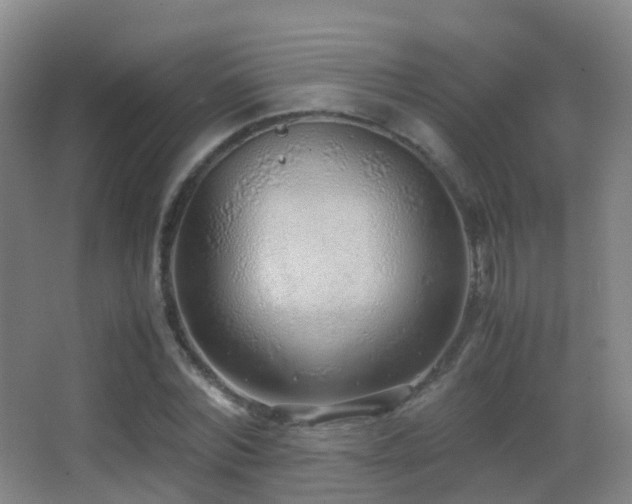 X0000062880780200601131307