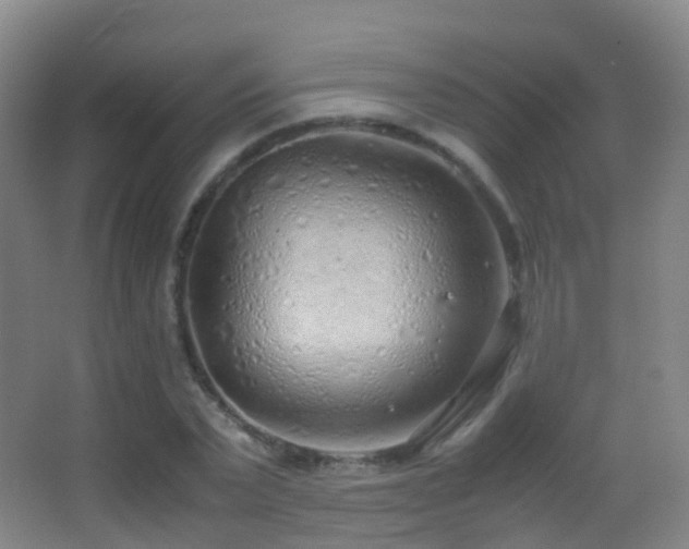 X0000062880783200601131307