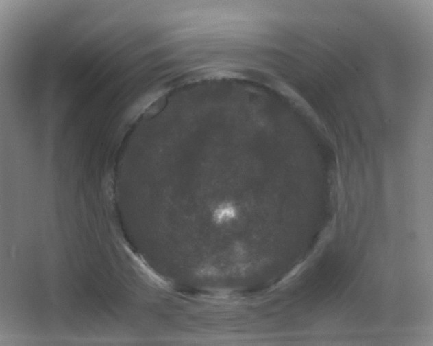 X0000062880785200601131307