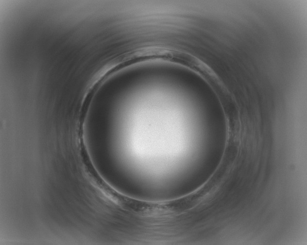X0000062880786200601131307