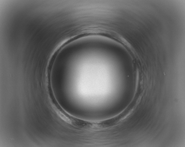 X0000062880787200601131307