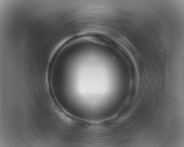 X0000062880788200601131307