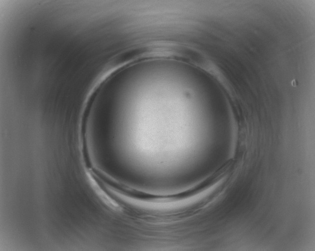 X0000062880795200601131307