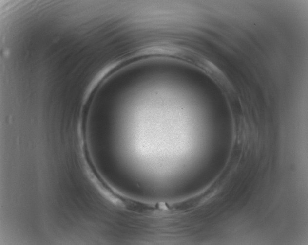 X0000062880796200601131307