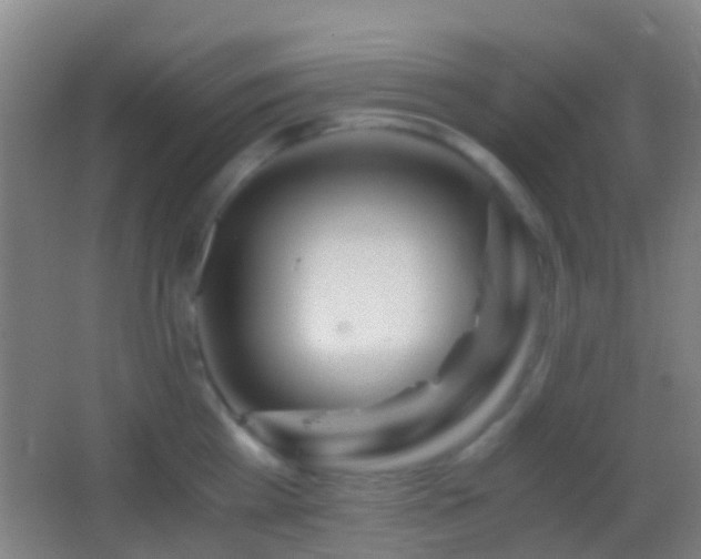 X0000062880809200601131307
