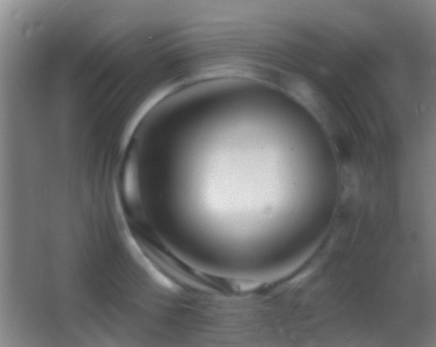 X0000062880812200601131307