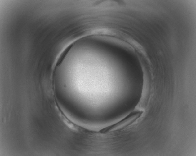 X0000062880816200601131307