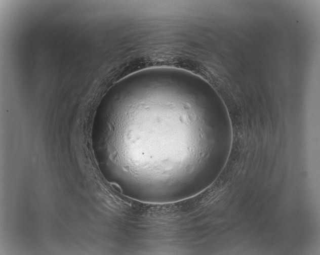 X0000062880817200601131306