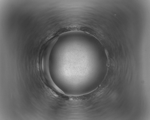 X0000062880818200601131306