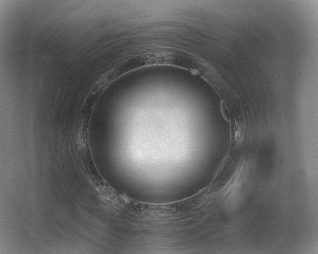 X0000062880819200601131306