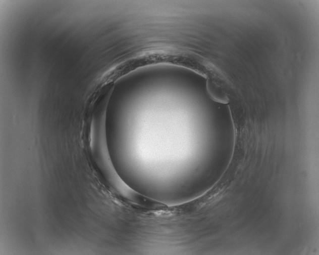 X0000062880822200601131306