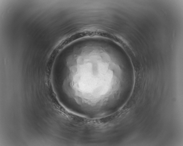 X0000062880823200601131306