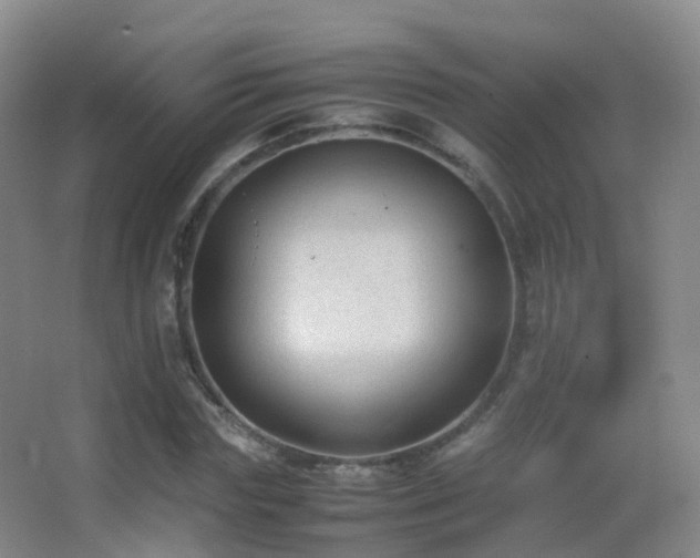 X0000062880827200601131306