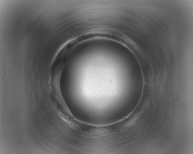 X0000062880830200601131306
