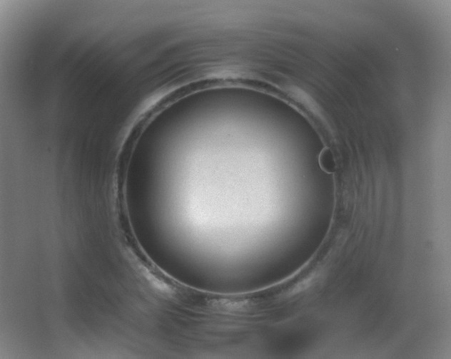 X0000062880831200601131306