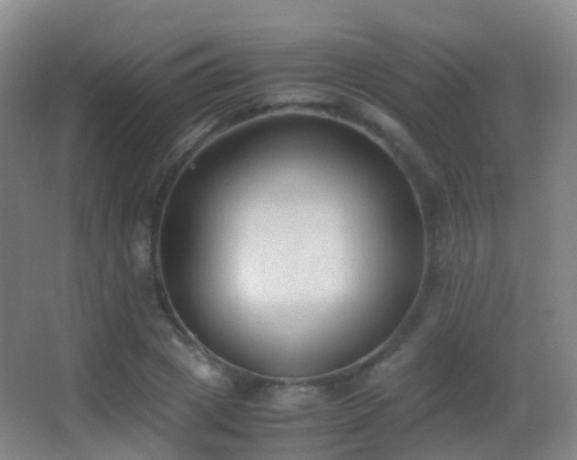 X0000062880833200601131306