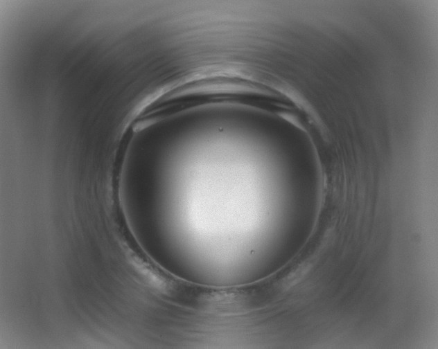 X0000062880834200601131306