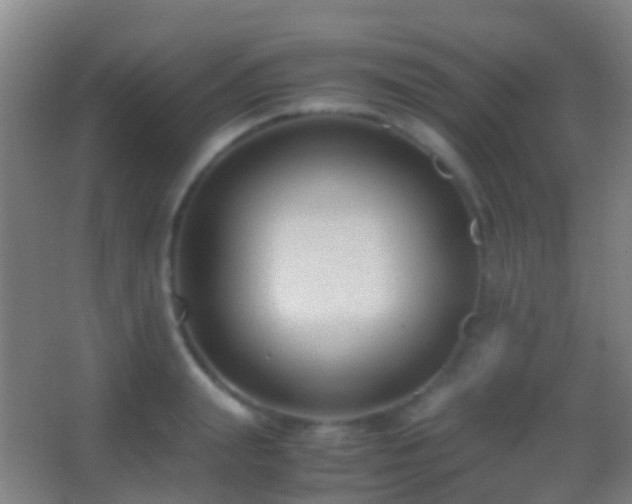 X0000062880847200601131306