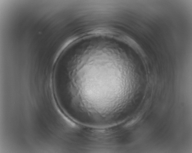 X0000062880855200601131307