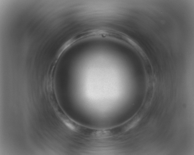 X0000062880858200601131307