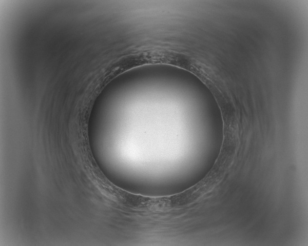 X0000062880865200601131306