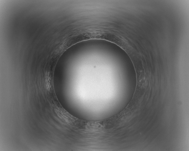 X0000062880866200601131306