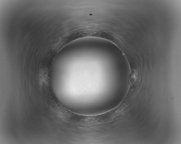 X0000062880867200601131306