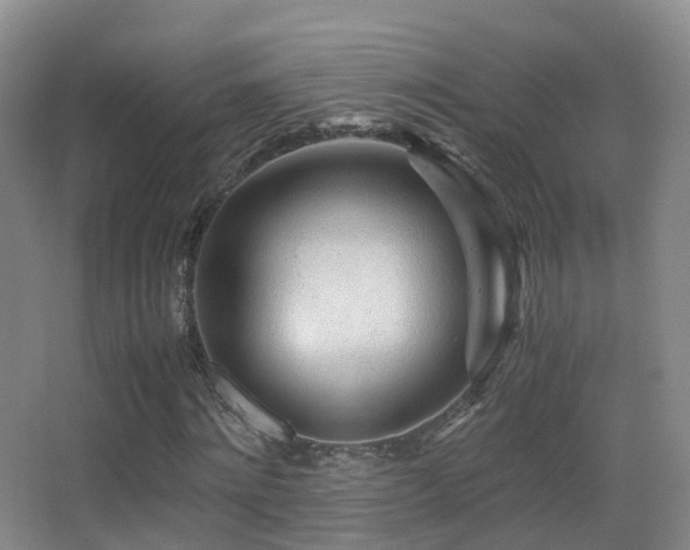 X0000062880868200601131306