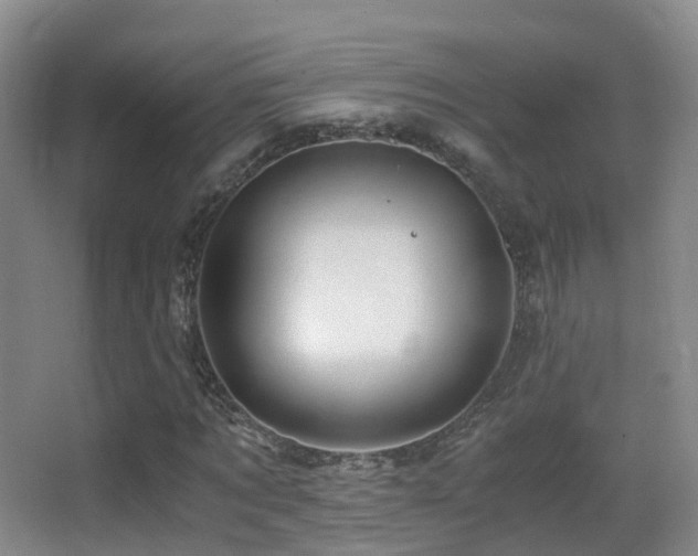 X0000062880869200601131306