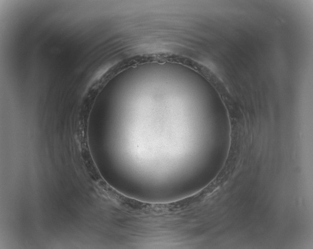 X0000062880871200601131306